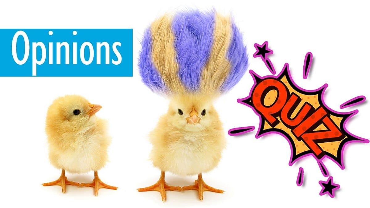 Course: Quizzes / Unit 1 / Session 16 / Activity 1