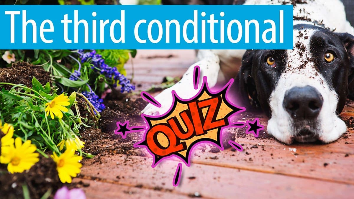 Course: Quizzes / Unit 1 / Session 18 / Activity 1